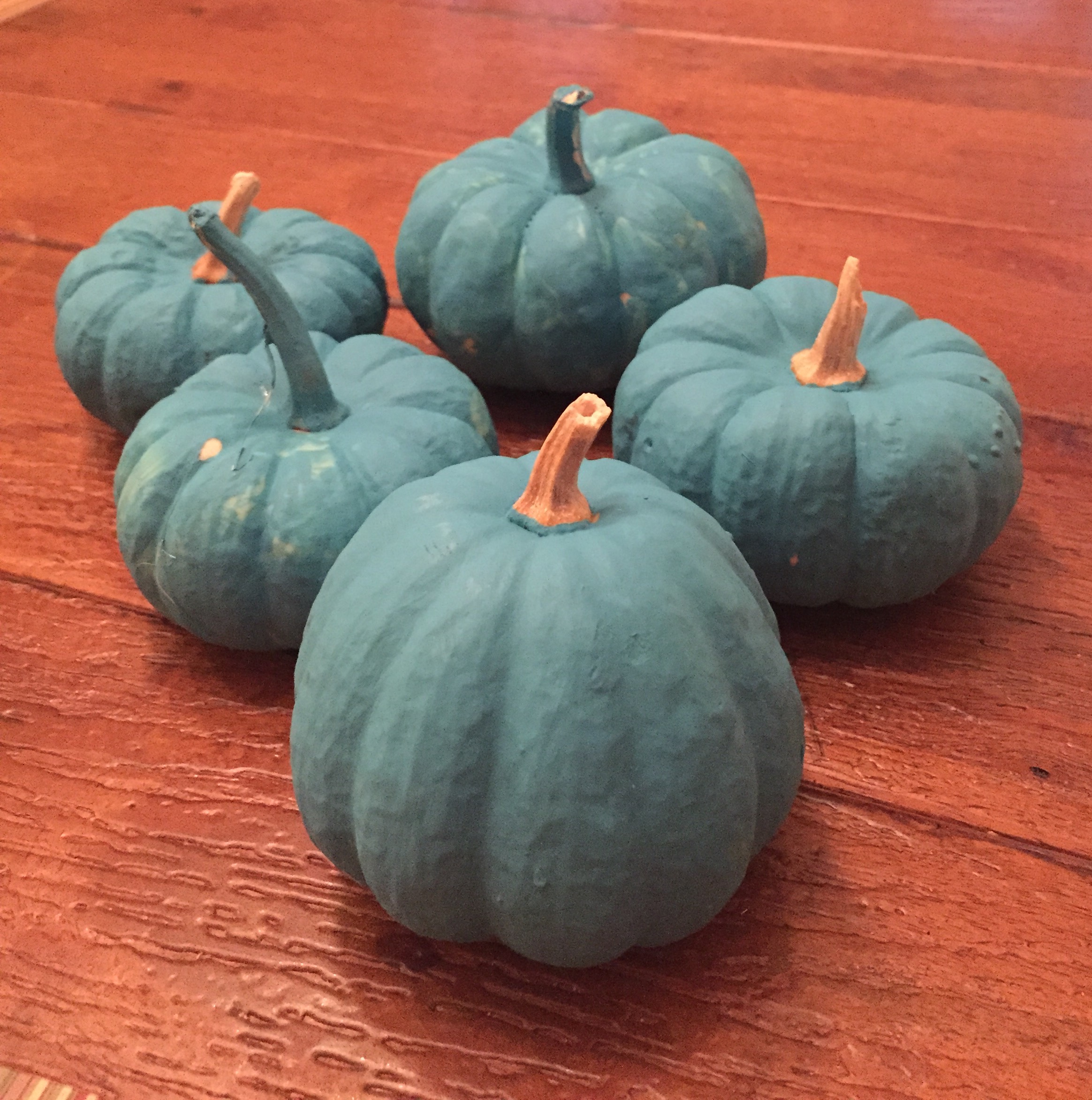 Halloween and Teal Pumpkins- Keep it Safe and Fun! - ICOE Bracelets